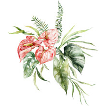 Watercolor Tropical Flowers Bouquet Of Anthurium, Fern And Monstera. Hand Painted Floral Poster Isolated On White Background. Holiday Illustration For Design, Print, Fabric Or Background.