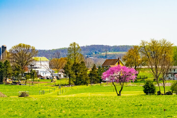 Wall Mural - Amish country, farm, home and barn on field agriculture in Lancaster, Pennsylvania, PA US North America