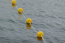 Line Of Yellow Buoys