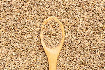 Wall Mural - Spice cumin (jeera) in wooden spoon on cumin background. Flat lay. Vegetarian food concept