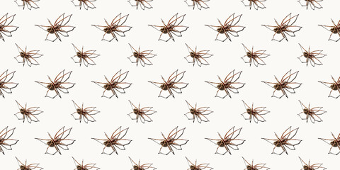 Seamless pattern with big spider isolated on white background. Large representative of the domestic arachnid. Fear or spider phobia. 8 legs. Copy space. Studio photo. Flower shape art concept