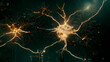 Neurons firing synapses, dementia , cognitive degeneration concept, new Alzheimer's and Parkinson's treatments  3d rendering