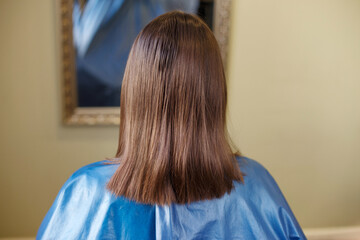 Wall Mural - brunette woman with shiny brown straight hair back view in salon