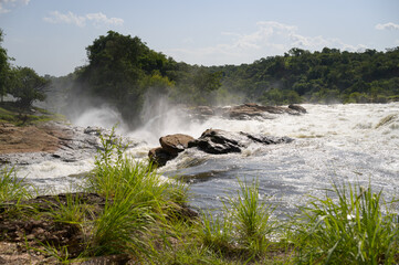 Wall Mural - Waterfall in Murchinson Falls National Park Uganda