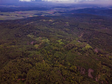 Podkomorske Lesy - Unterkammer Waldgebiet In Brünn Von Oben, Tschechische Republik