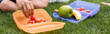 Cropped view of schoolkid taking cherry tomato from lunchbox on grass in park, banner.