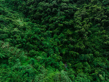 Aerial View Of Beautiful Forest Mountain Landscape