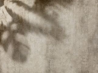 Wall Mural - Concrete texture for wall background with leaves shadow