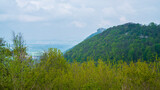 Fototapeta Krajobraz - Germany, Historical hohenneuffen castle ruins nature landscape on top of a tree covered mountain in foggy atmoshpere, panorama view