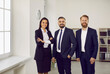 © Studio Romantic - Portrait of professional and successful team of business or lawyers posing together in modern office. Two men and one woman dressed in stylish business attire are smiling while looking at camera.