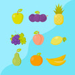 © Julia - Flat design vector illustration of fruit