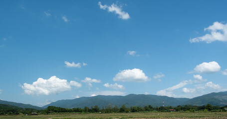 Wall Mural - The white clouds have a quaint and rural shape. The sky is cloudy and blue