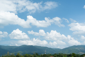 Wall Mural - the white clouds have a quaint and rural shape. the sky is cloudy and blue