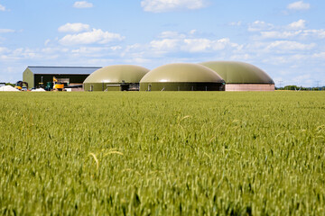 General view of a biogas plant with three digesters in a green wheat field in the countryside under a blue sky with white clouds.