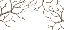 Background With Dry Bare Branches. Decorative Natural Twigs.