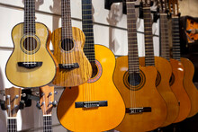 Ukulele Small Four-stringed Guitar Of Hawaiian Origin And Classical Nylon String Guitars At Showcase In Music Store