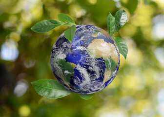 Recycling concept. Earth planet with green leaves on blurred background