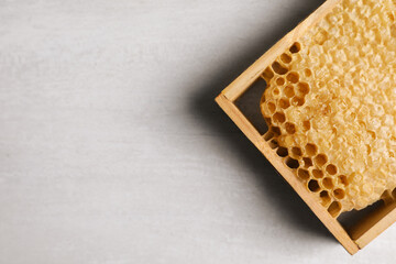 Wall Mural - Honeycomb frame on white table, top view with space for text. Beekeeping tool