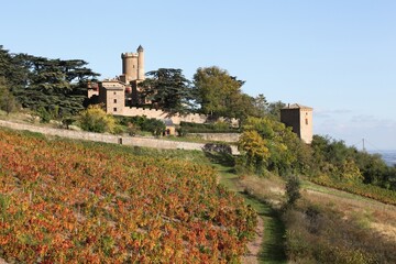 Wall Mural - Castle of Montmelas in Beaujolais, France 