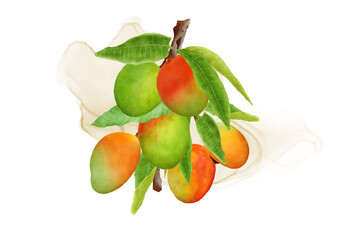 watercolor mango fruits wreath and background design