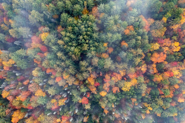 Canvas Print - Peak Foilage - Stowe, Vermont