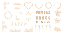 Pampas Grass Collection. Set Of Wedding Bouquets, Frame And Borders. Vector Cortaderia In Boho Style Isolated On White. Trendy Design Elements For Invitations, Postcards, Social Media, Stickers.
