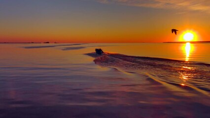 Wall Mural - Fishing boat speeding out at sunrise, in summer, scenic aerial view.
