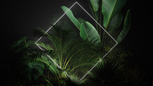 White Neon Light With Tropical Plants. Diamond Shaped Fluorescent Frame In Rainforest Environment.