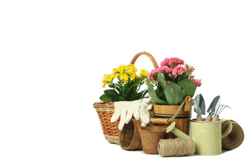 Gardening tools and accessories isolated on white background