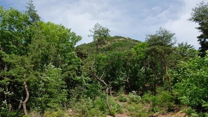 Wall Mural - Bukhansan mountain in Seoul, Korea