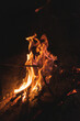 © ADDICTIVE STOCK - Campfire burning at dark night
