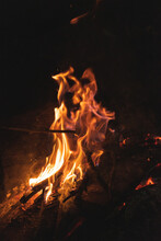 Campfire Burning At Dark Night