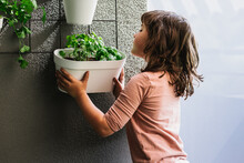 Girl Hanging Flowerpot On Wall