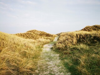 Danish beach scene, Beach and waves, Dunes in the Denmark, Danish North Sea coast