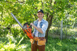 © Angelov - a man with a chainsaw. removes plantings in the garden from old trees, harvests firewood.