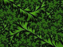 Beautiful Fractal Floral Art. Computer Generated Graphics