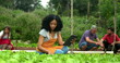 © Marco - Group of people at urban community farm working at small organic business. One black woman holding tablet