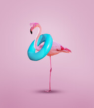 Pink Flamingo With Inflatable Buoy Wear Rosy Glasses