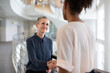 © ReeldealHD images - Senior businesswoman meeting with a coworker shaking hands