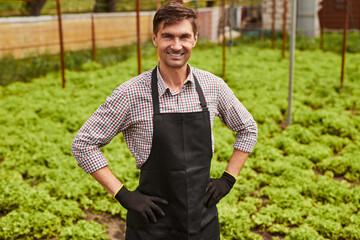 Wall Mural - Positive male farmer during work