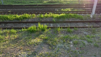 Poster - The view from the drone on the railroad tracks against the background of the setting sun. Concept of train traffic, rail transport, passengers. Aerial view of tracks, freight trains, train station.