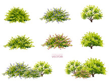 Vector Watercolor Blooming Flower Tree Or Forest Side View Isolated On White Background For Landscape And Architecture Drawing,elements For Environment Or And Garden,botanical Element For Section 