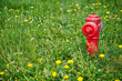 łąka i hydrant 