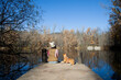 © Sophiaarenasphoto - Mujer adulta sentada junto a un perro mascota en el muelle del lago en el bosque