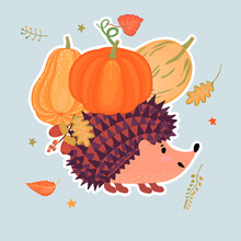 Cartoon Hedgehog With Pumpkins And Autumn Leaves.Colorful Background With Wild Animal Character For Printing On Fabric And Paper.Vector Hand Drawn Illustration For Design Card,sticker,cover.