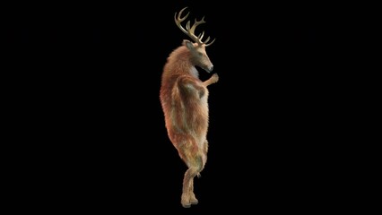 Wall Mural - deer dancing cg fur 3d rendering animal realistic cgi vfx animation loop composition 3d mapping cart