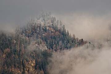 Canvas Print - Russia. South of Western Siberia, Altai Mountains. Morning frosty fog on the tops of the taiga mountains along Lake Teletskoye.