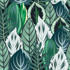  Seamless pattern with tropical beautiful leaves exotic background.