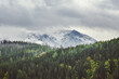 View of the mountain peaks covered with snow, in the foreground mountains overgrown with coniferous forest. Cloudy day.