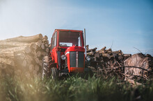 Old Red Tractor Parking By Logs. Red Tractor Or Forestry Tractor By Harvesting Wood.